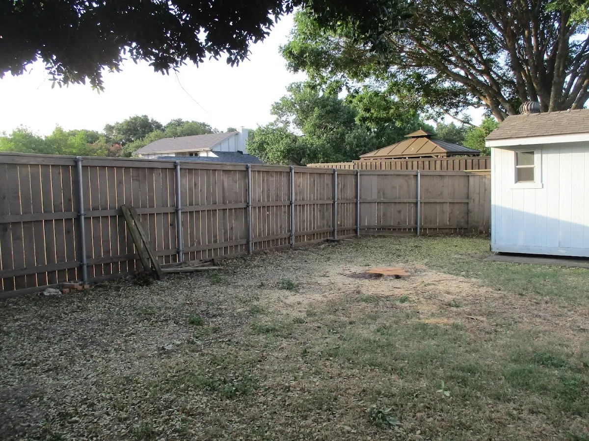 Cleared yard after professional tree removal in Mapleton
